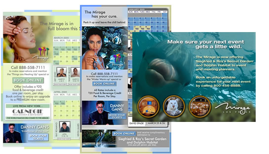 Web Design & Brand Development